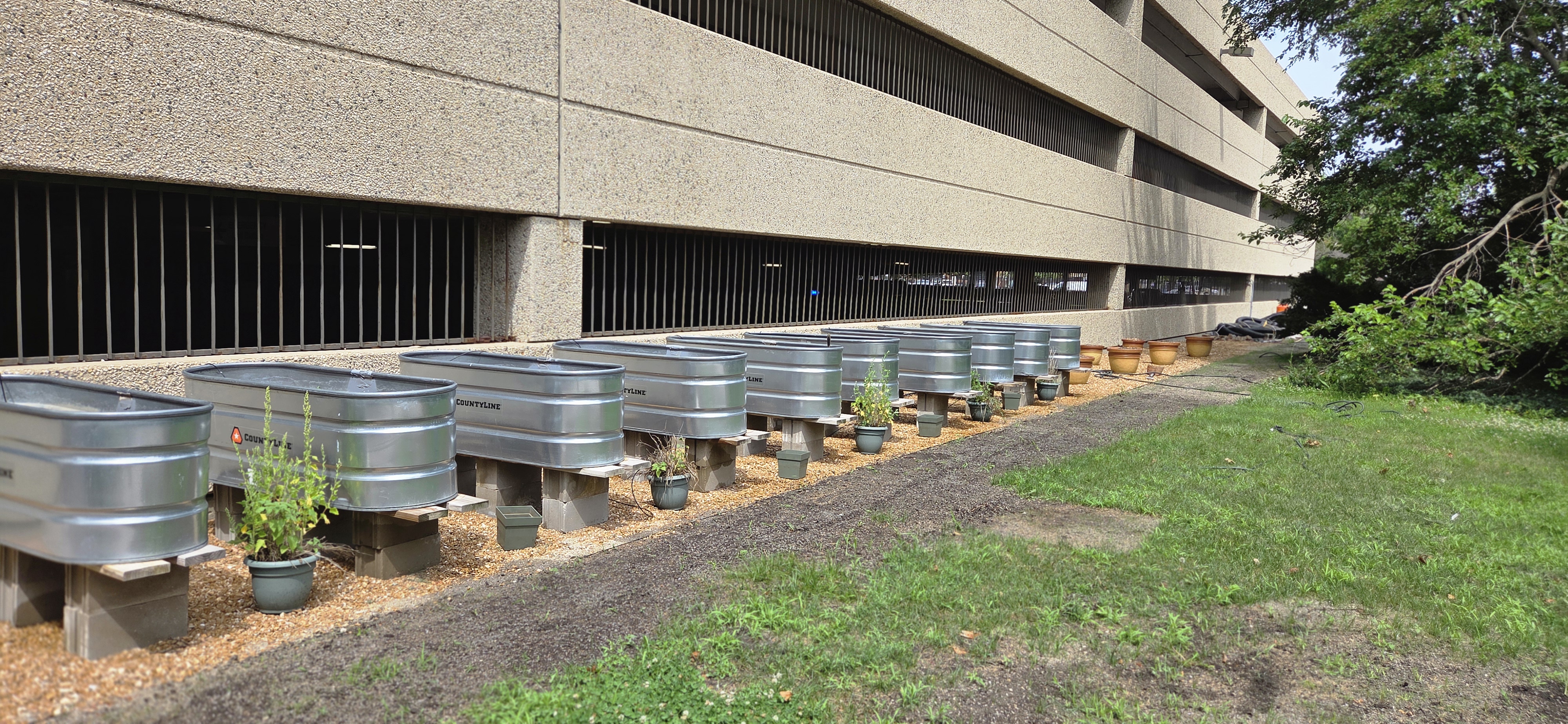 Harvey Community Garden & Event Space — image 2