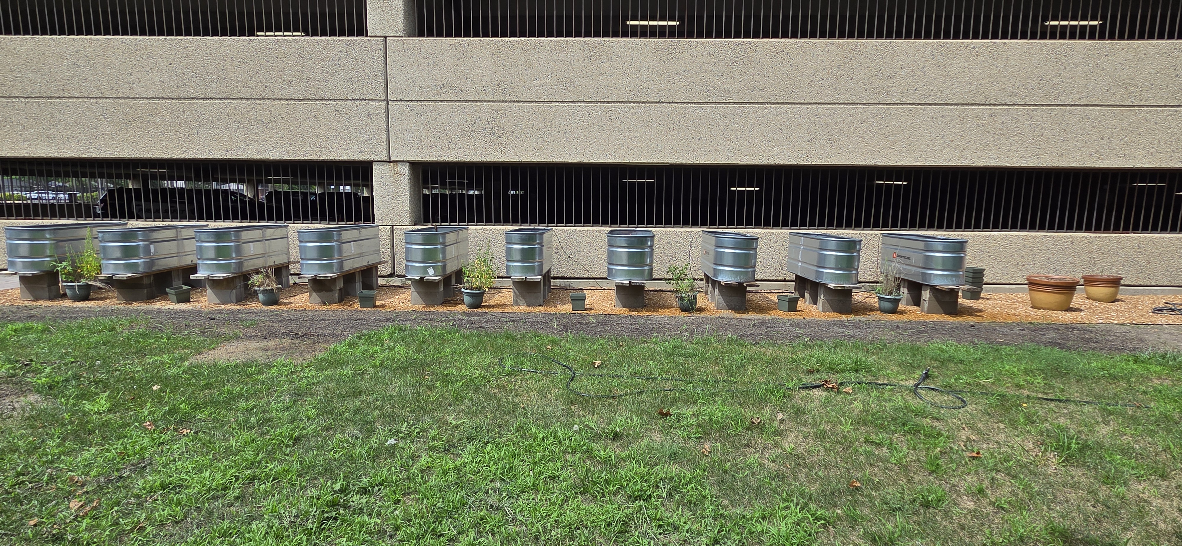 Harvey Community Garden & Event Space — image 3
